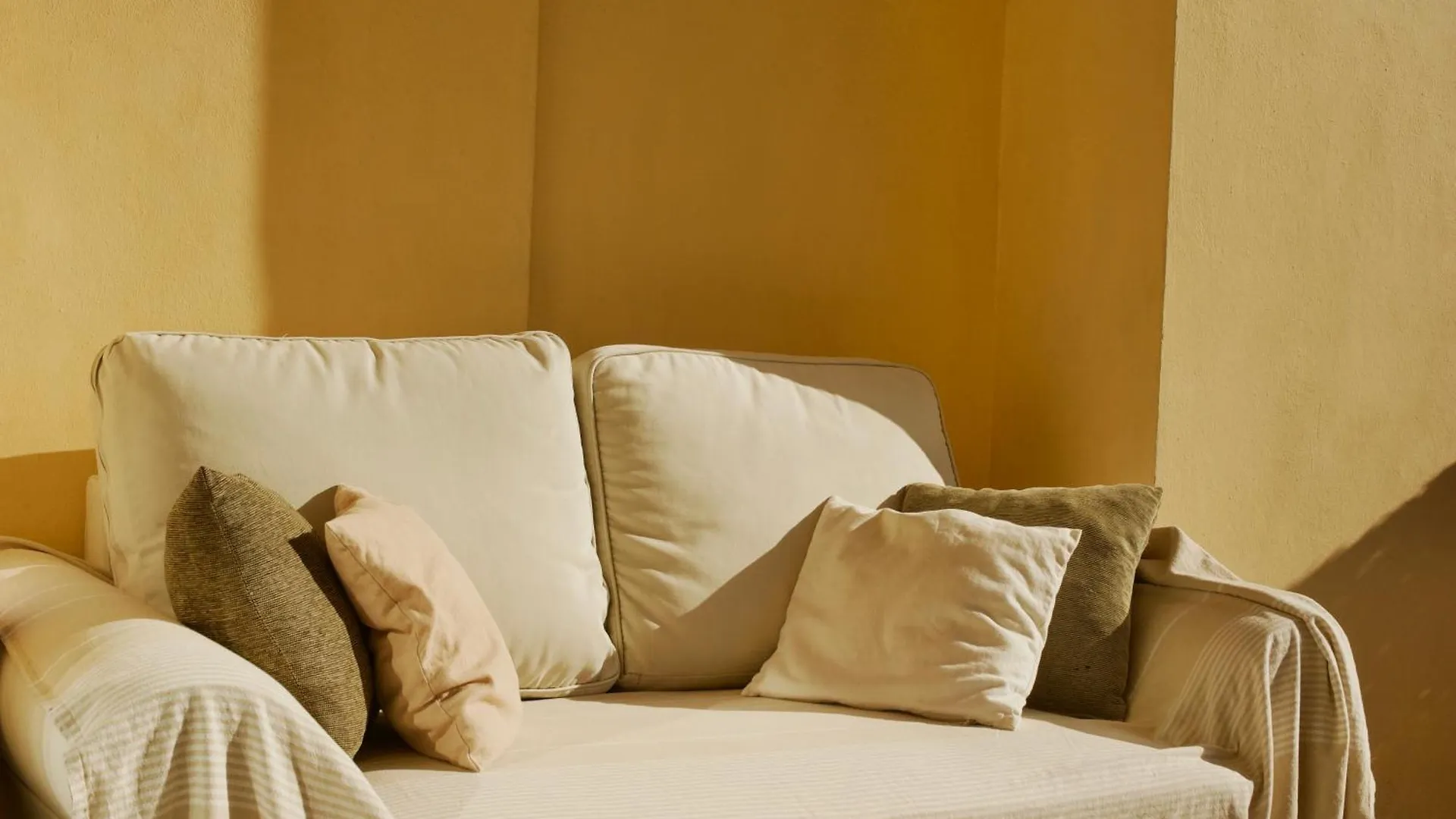 Amazing 1 Bed Apartment contacts